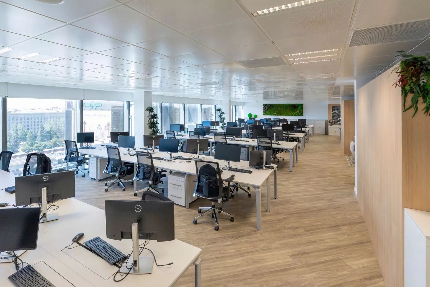 Open-plan offices, open space concept